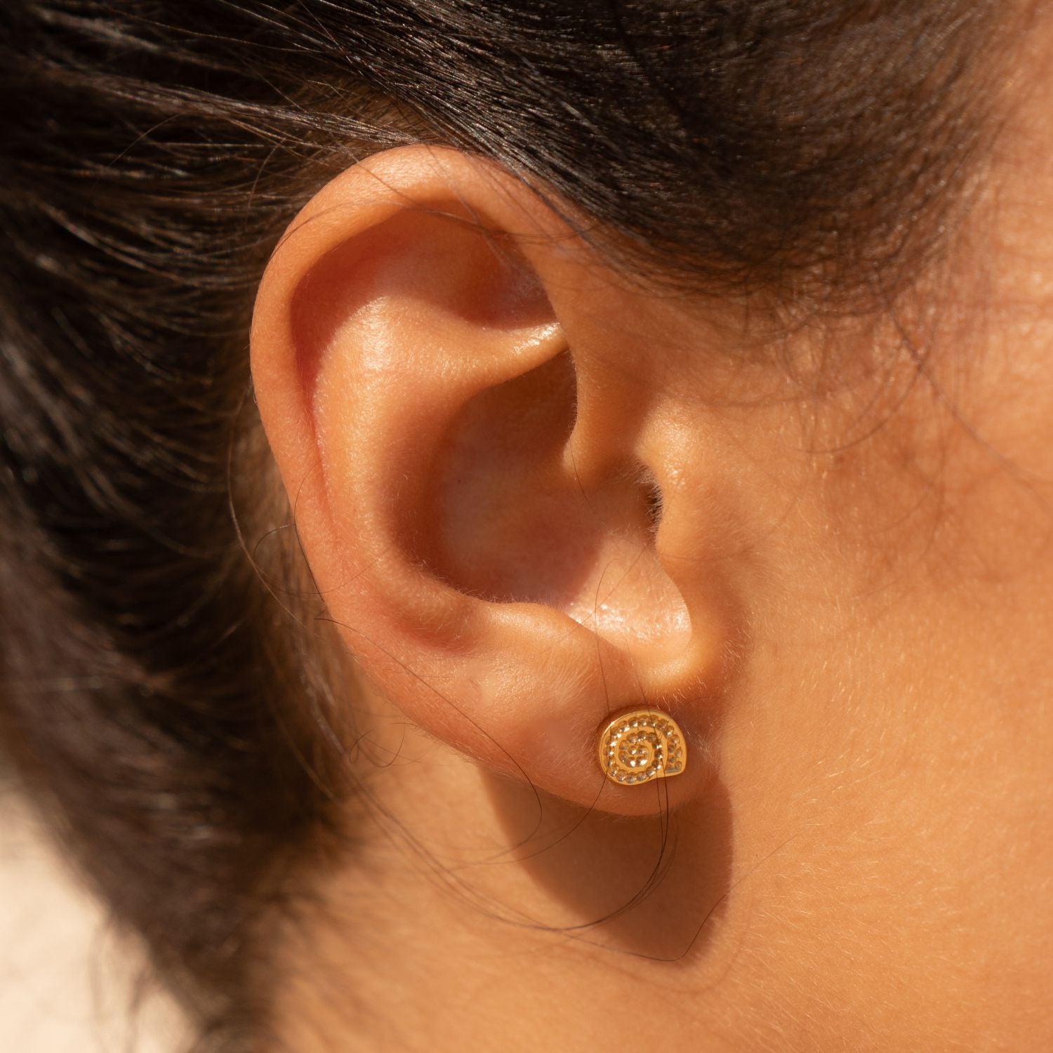 Nautilus Earrings