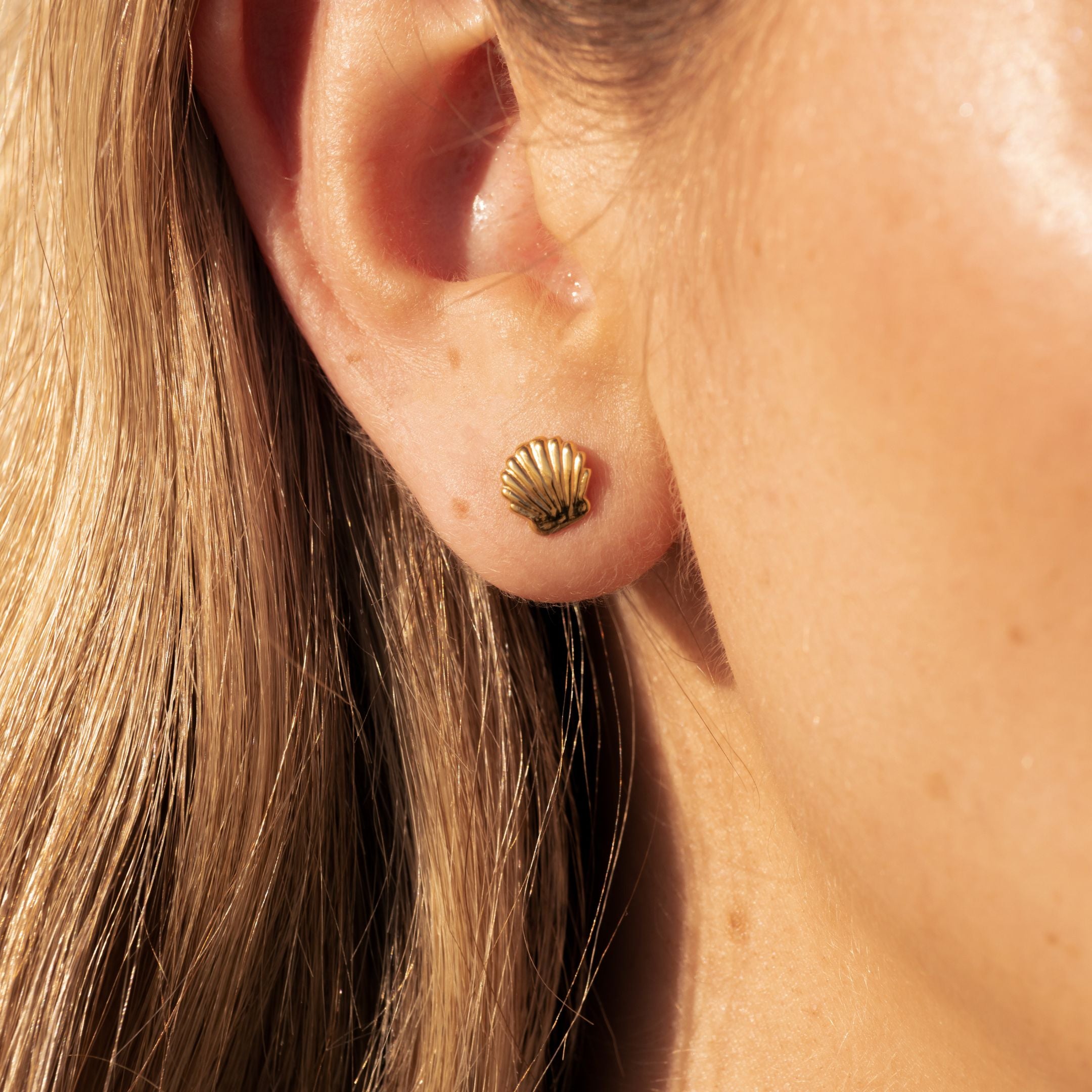 Shell Stud Earrings